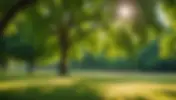 Embracing Mindfulness: How I Found Confidence and Clarity Through Personal Practice