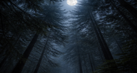 Night Forest Bathing New Years Eve square.png