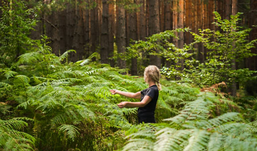 Forest bathing.png