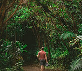 Into the Woods_edited.jpg