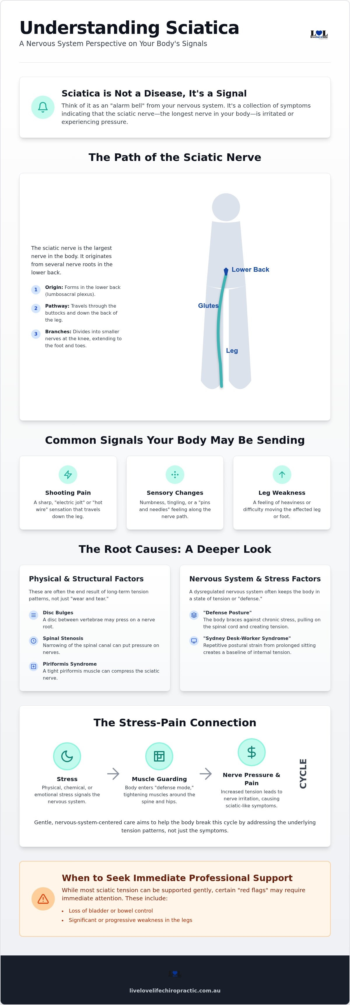 ✓ what is Sciatica