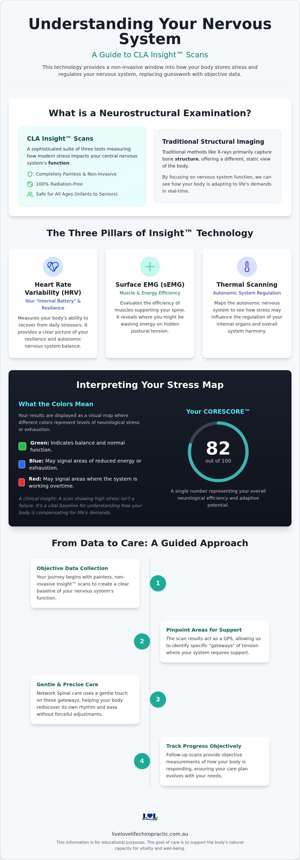 ✓ Understanding CLA Insight scans