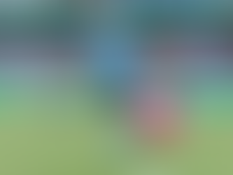 A-리그 시드니 FC vs 웰링턴 피닉스: '짠물 수비'와 '불안한 뒷공간'의 대결 분석