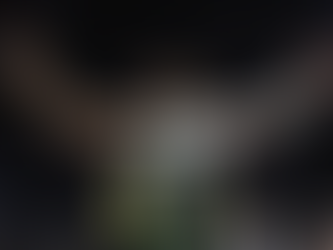 미네소타 vs 밀워키 벅스: '늑대 대장의 귀환'과 '사슴 군단의 위기' 분석