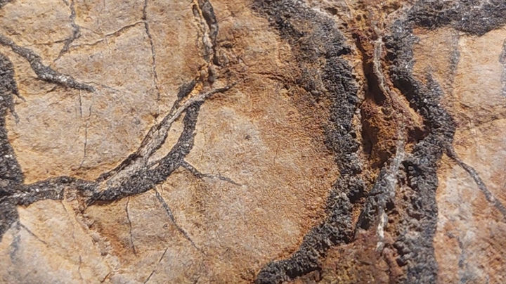 constellationing wv.jpg