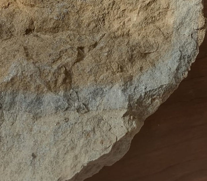 Tiny pellets.jpg