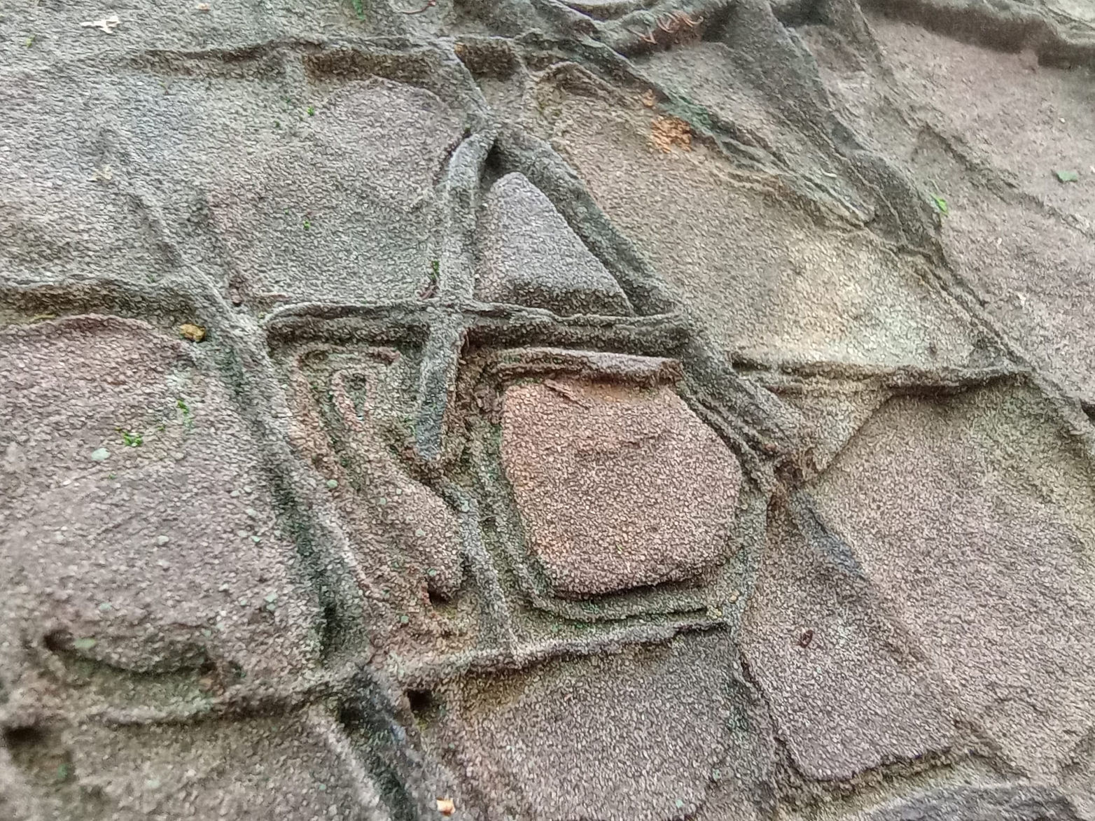 307305118_191522266596237_4208168839978925166_n.jpg