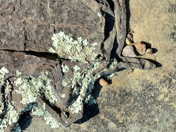 grid made tubular expansion. .jpg