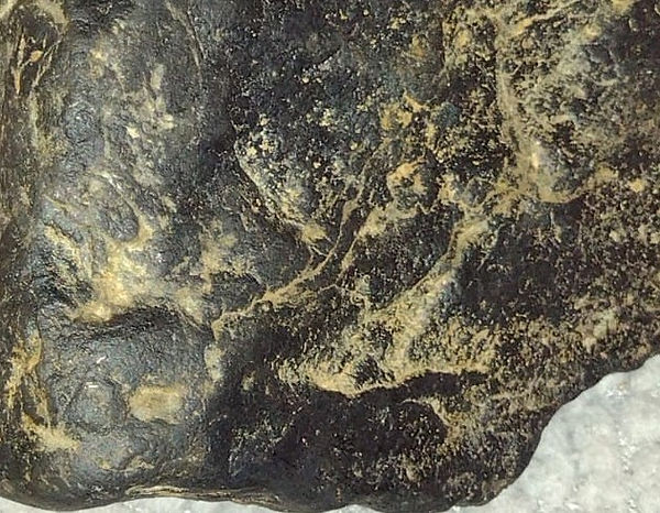 271269663_126786113157436_9139698056326680798_n (2).jpg