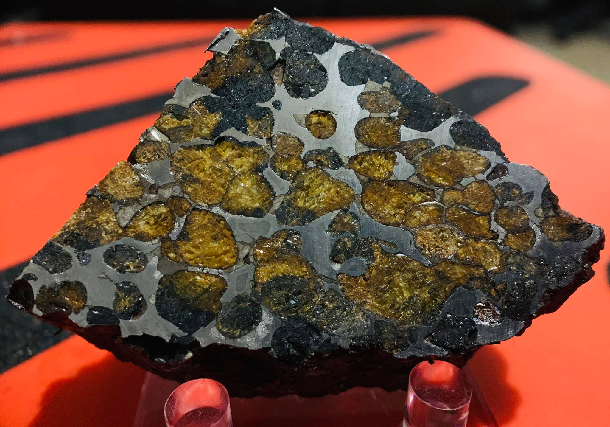 119461521_3449152561812690_3000012777672