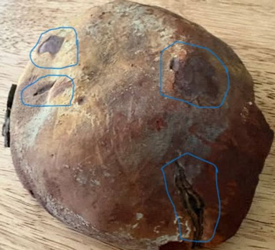 rind.jpg