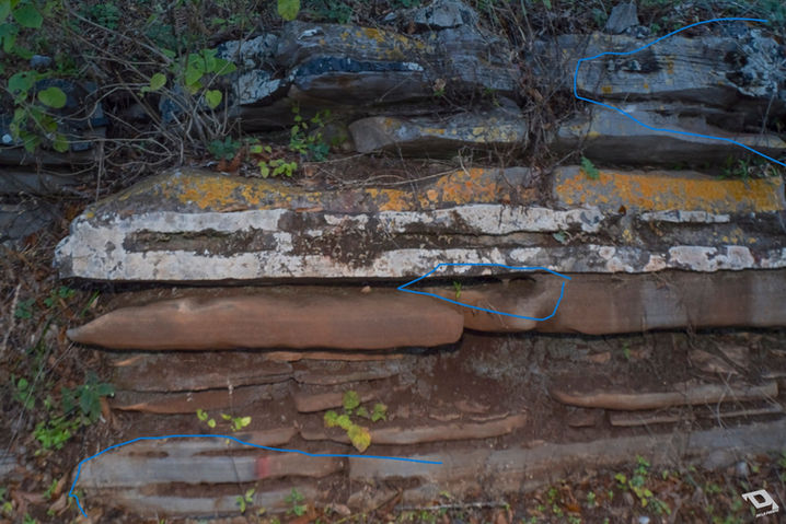 Plasma cavitation.jpg