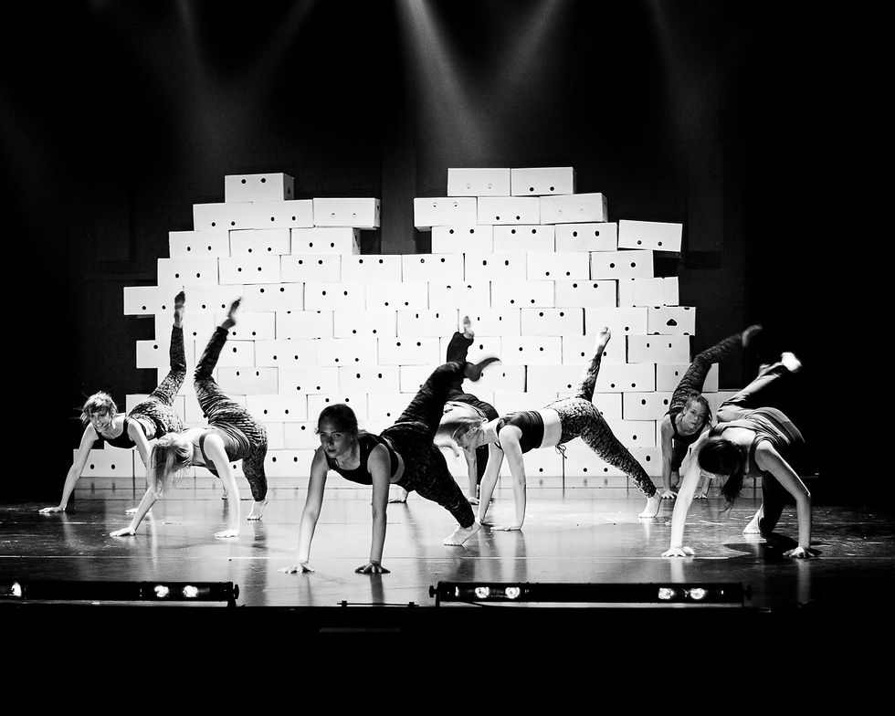 Euterpe Danst 40 jaar - 2028