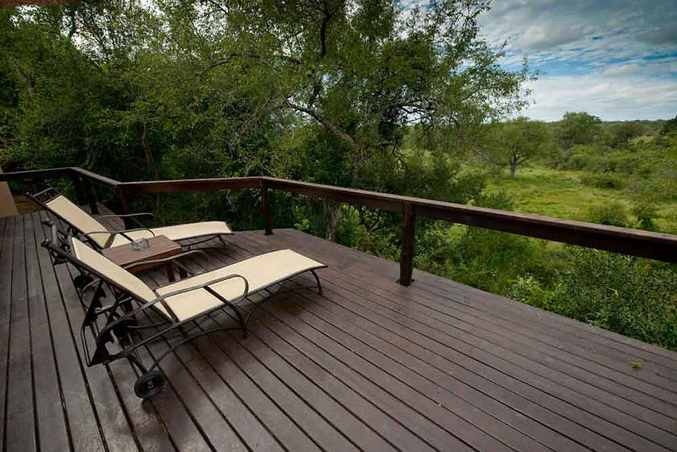 Viewing deck at Elephant Plains Game Lodge