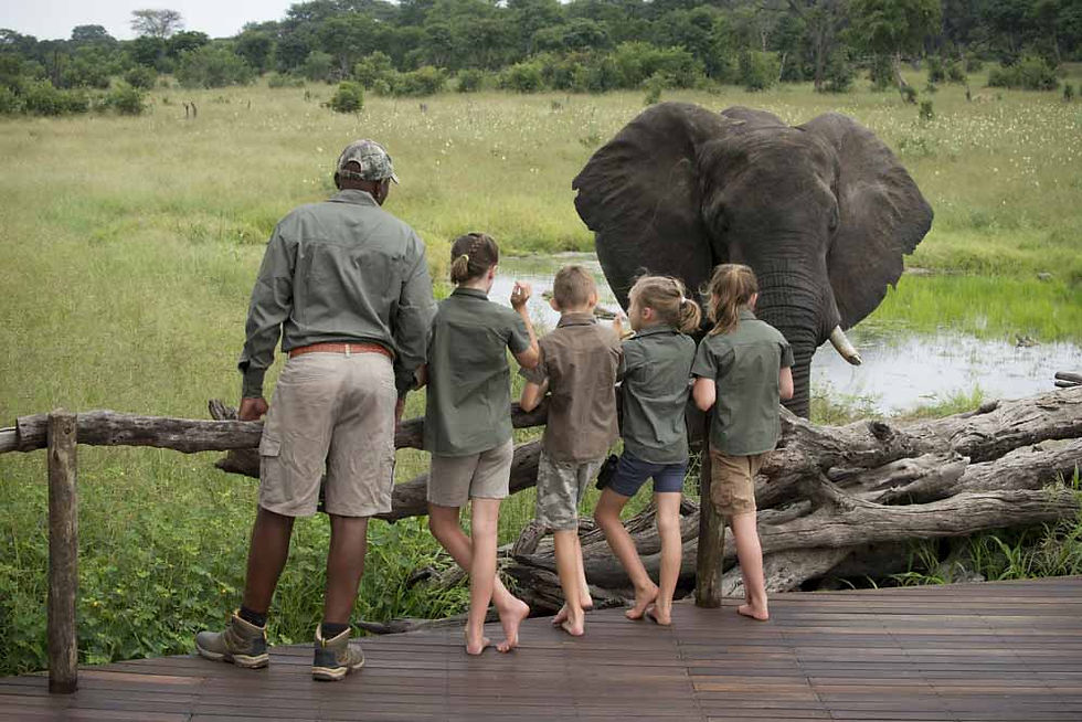 Camp Waterhole, Somalisa Acacia, Hwange National Park, Zimbabwe