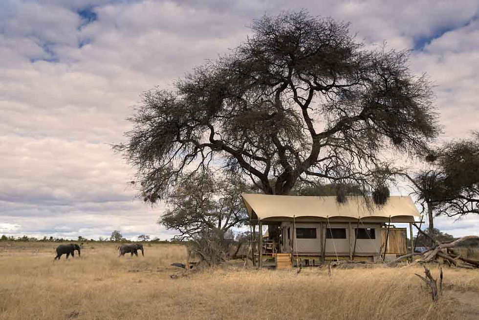 The Very Best of Zimbabwe Somalisa Expeditions Room