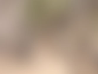 Kruger National Park Safari, Nov 2018 (part 2)