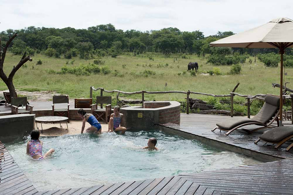 Pool, Somalisa Acacia, Hwange National Park, Zimbabwe