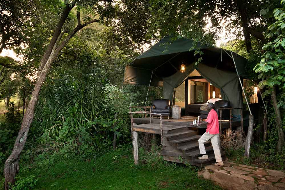 Classic Tent Exterior, Kichwa Tembo Tented Camp, Masai Mara, Kenya