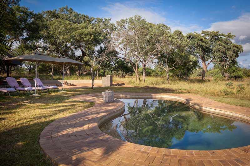 Thornybush Jackalberry Lodge Swimming Pool