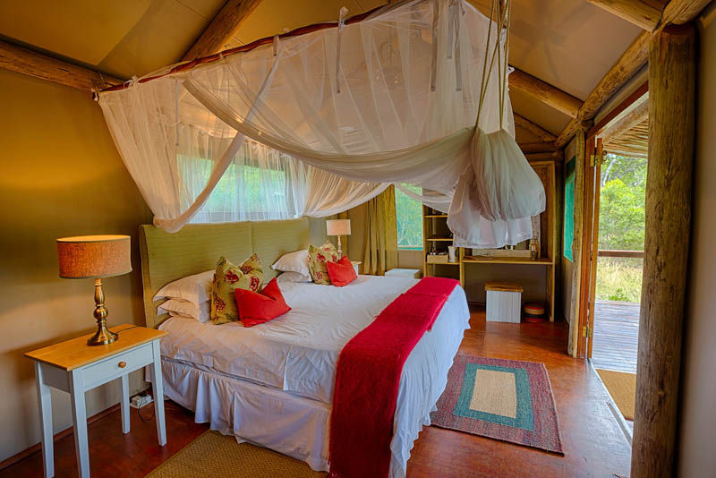 Chapungu Tented Camp Guest interior