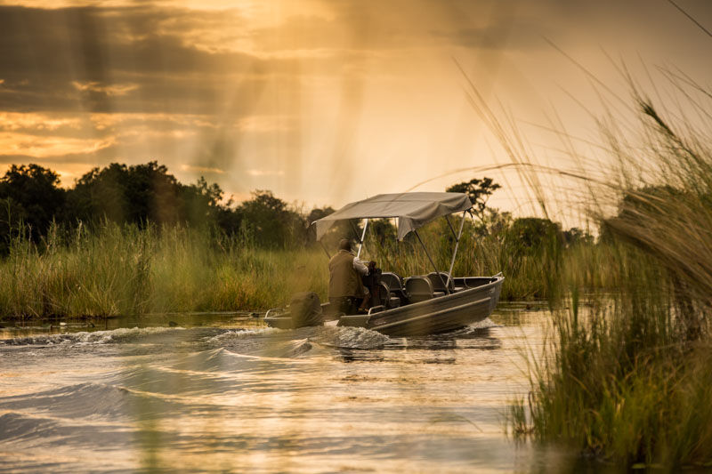 Boat Safari, Vumbura Plains, Okavango Delta, Botswana