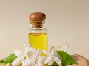 Top Jasmine Absolute Manufacturers: A Complete Guide for Buyers and Importers