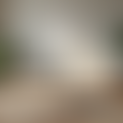 How a Clean Home Impacts Your Well-Being