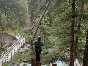 Lot Clearing In The Comox Valley