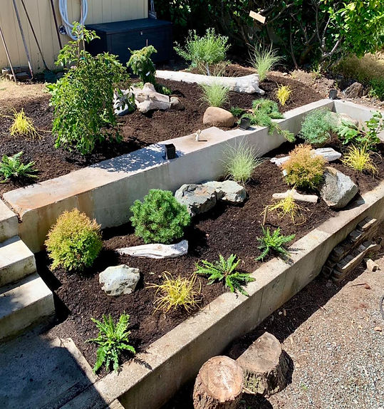 Vision Arboriculture - Premium Landscape