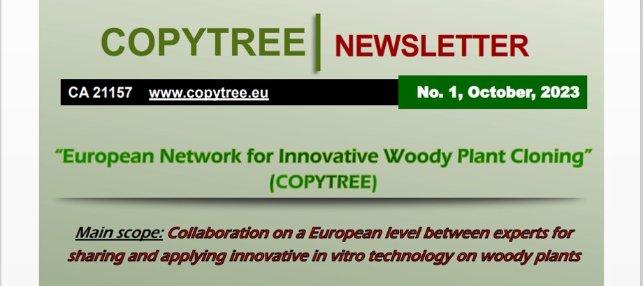 CopyTree First Newsletter