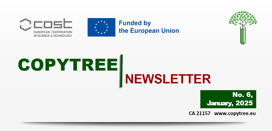 CopyTree Newsletter - January 2025