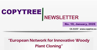 CopyTree Newsletter - January 2026