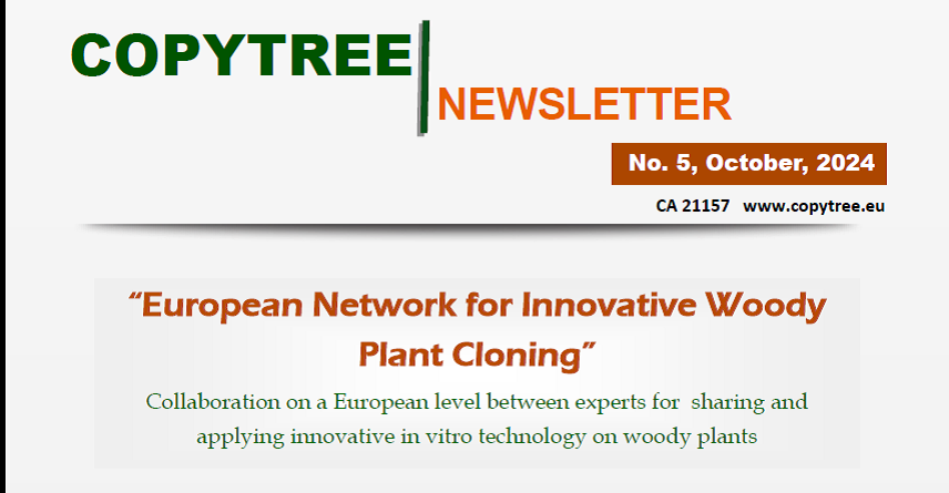 CopyTree Newsletter - October 2024