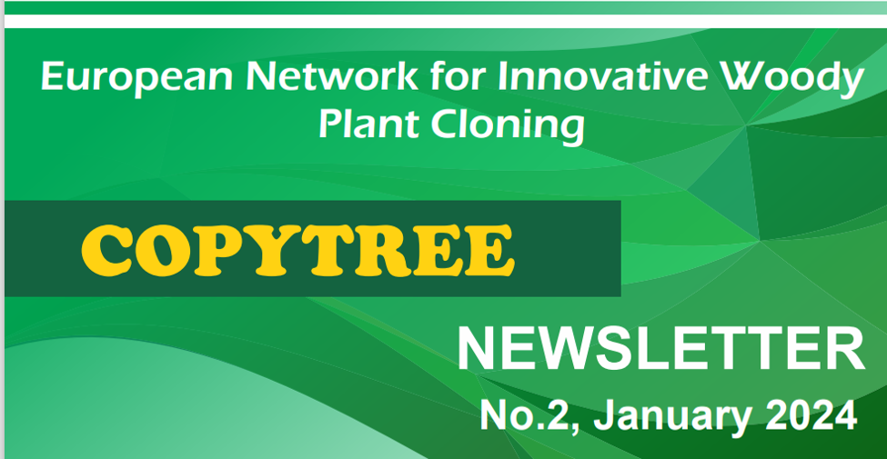 CopyTree Newsletter - January 2024