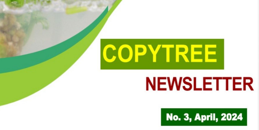 CopyTree Newsletter - April 2024