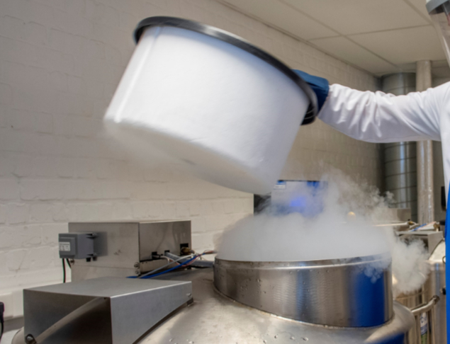 Cryopreservation technologies for trees