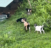 IMG_7604 (1)_edited.jpg