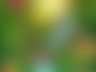 A Farm of Therapy: About Us