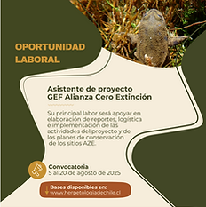 Oportunidad Laboral_Asistente de proyecto GEF AZE (1).png