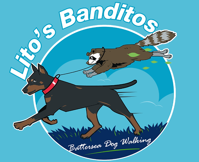 Dog Walking Lito S Banditos Dog Walking Clapham Battersea Wandsworth