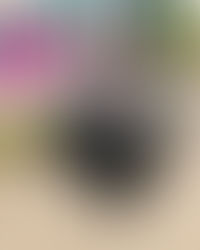 Upcoming Texas Rapper Ghostboy Jay$ee Flexes With His New Album "New Motive"