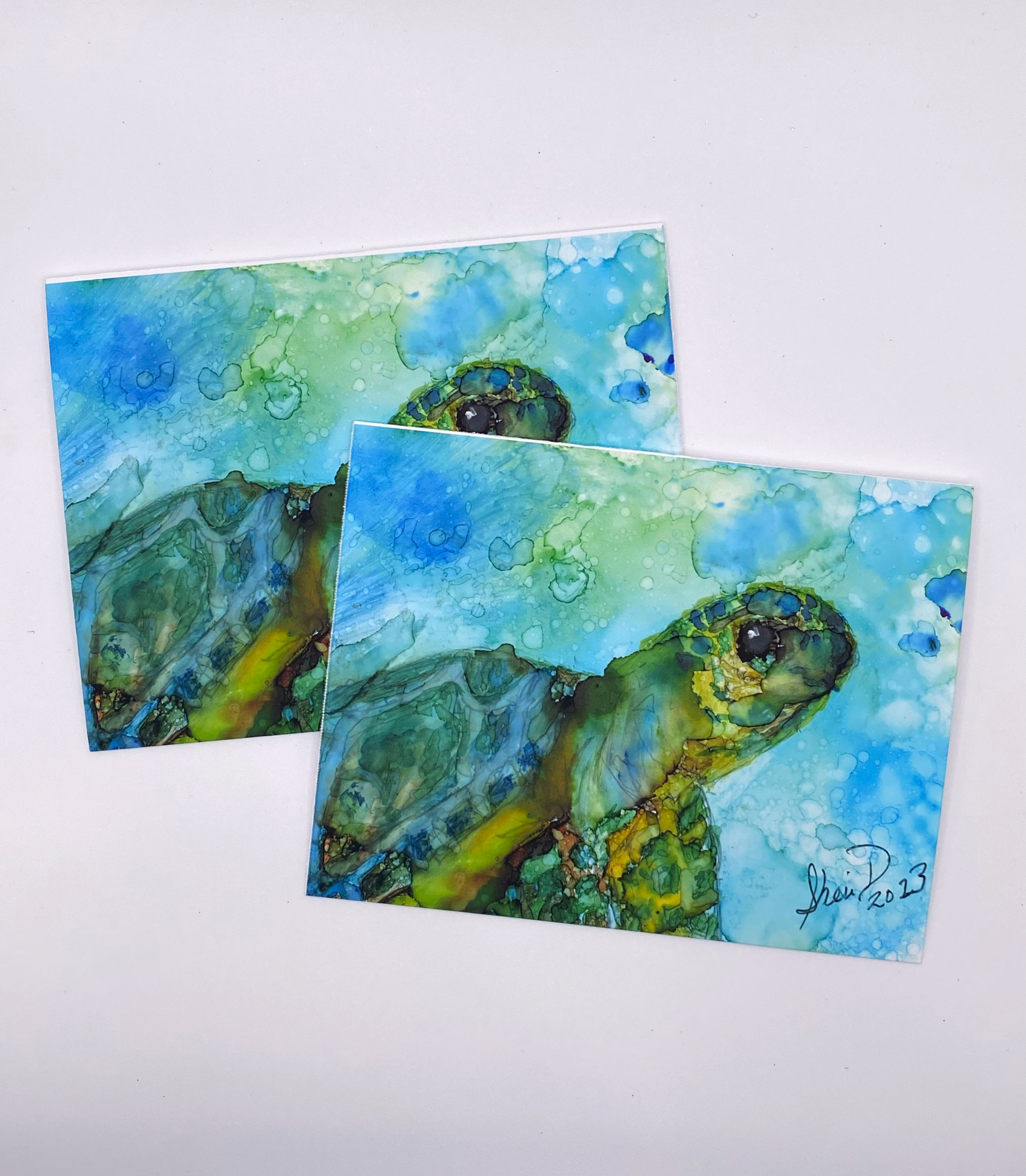 Nosey 1 - Card Set of 4