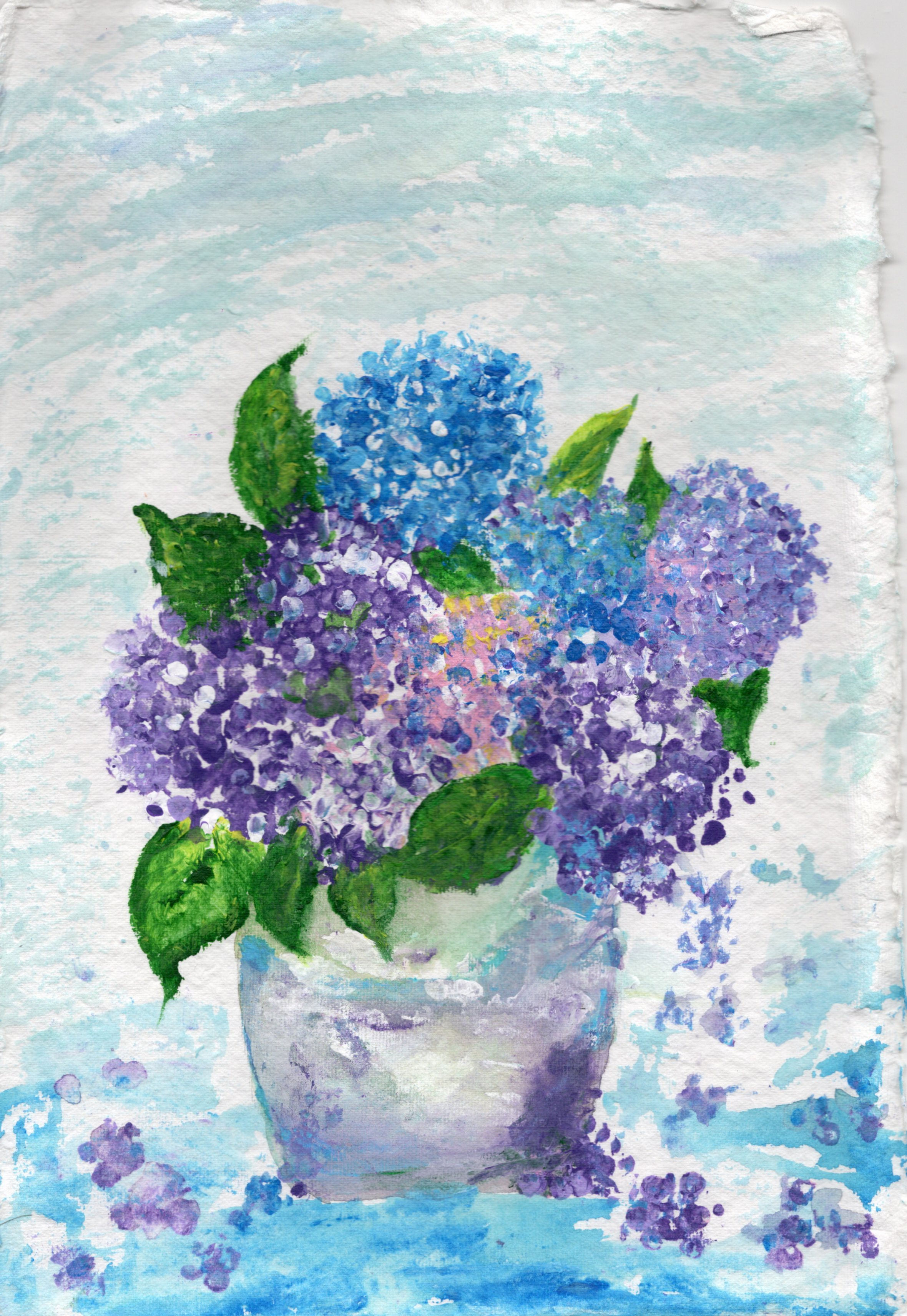 Sheri's Hydrangeas