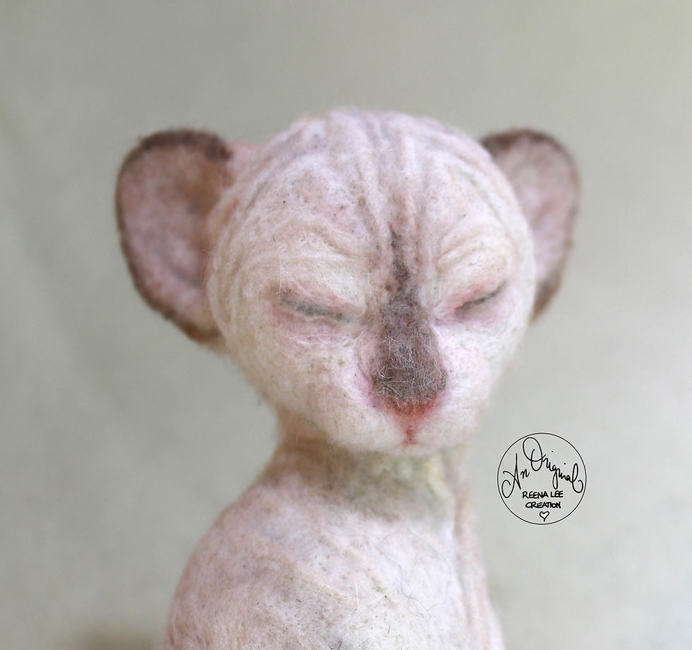 Thumbnail: Serene, the Sphynx