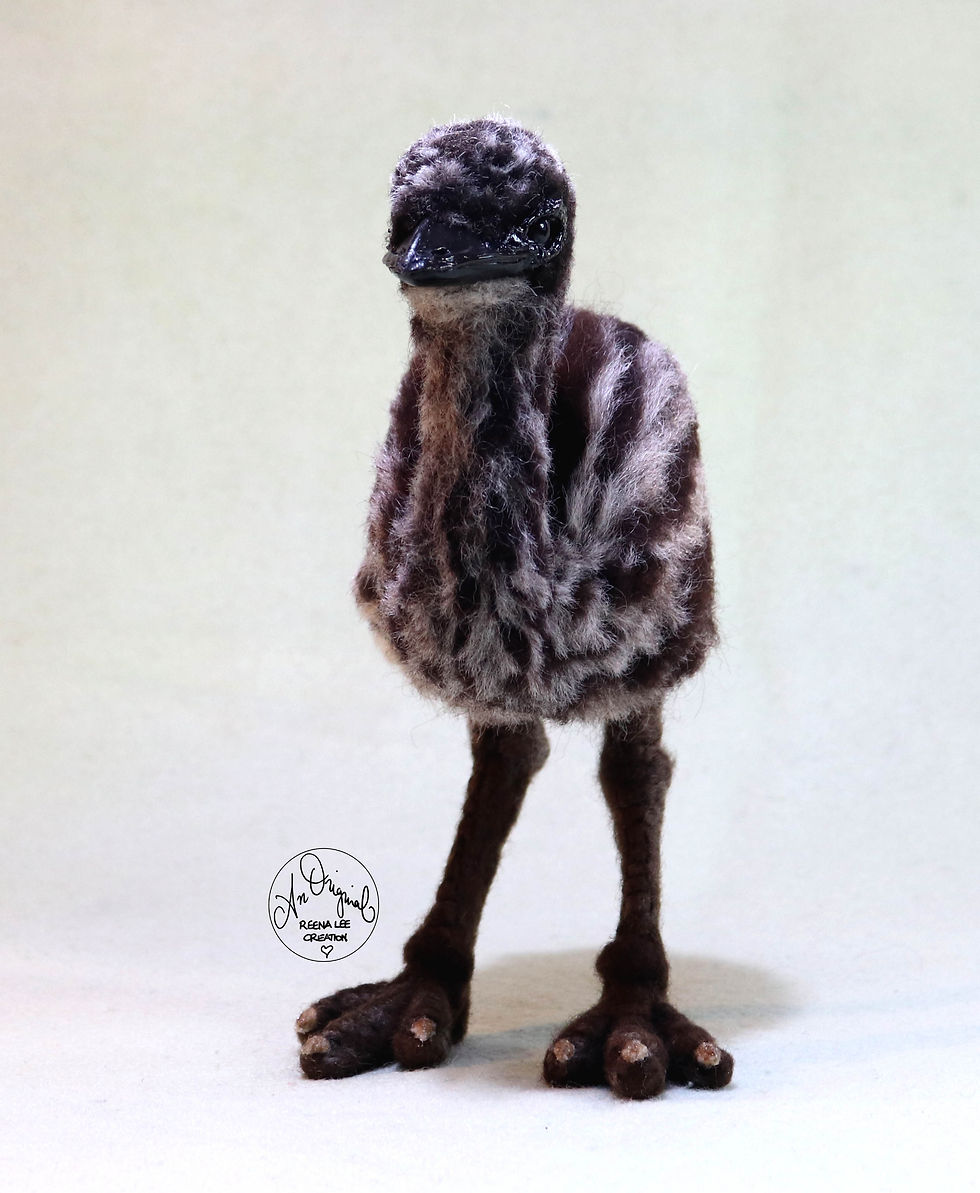Thumbnail: Bert, the Emu Chick