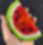 116134090_291364395420566_58920222481592
