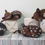 Thumbnail: Level 1 PACK, Numbat, Possum, Quoll, Tassie Devil