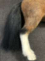 ree