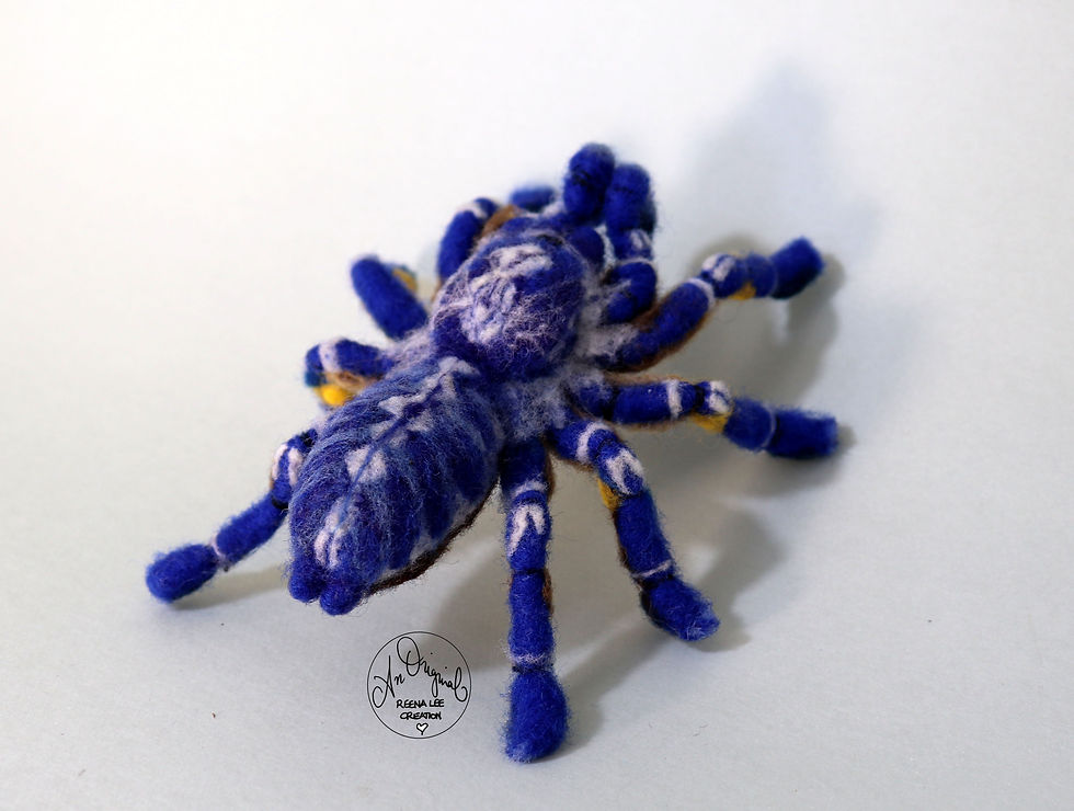 Thumbnail: Gooty Tarantula